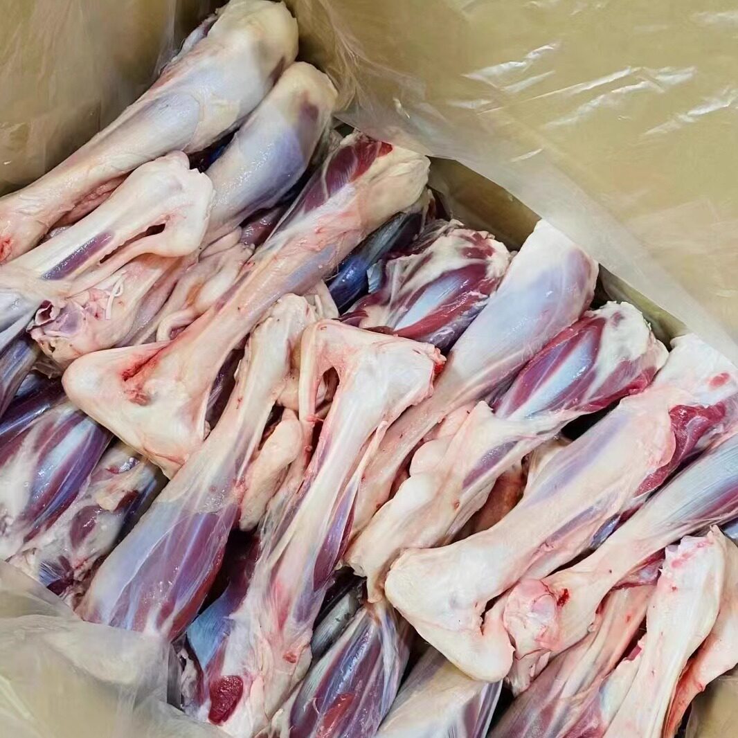 羊小腿草饲草地羊不膻有嚼劲