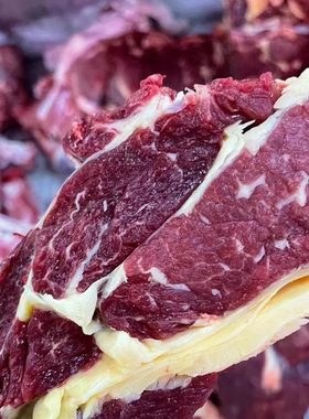 牛腩牛霖草饲不腥臊草地牛散养