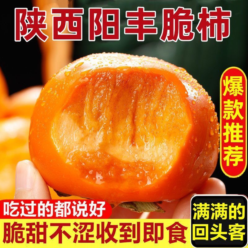 陕西富平巧克力脆柿子新鲜水果大果脆甜硬柿子应季脆皮柿子甜脆柿
