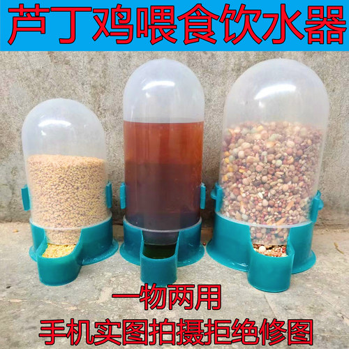 芦丁鸡喂食器鸽子饮水器自动喂食