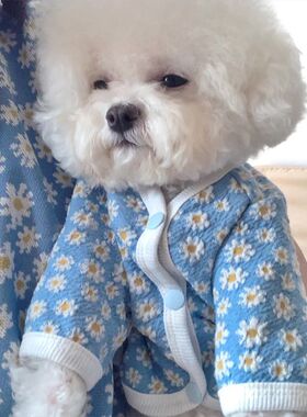 Daisy Print Dog Clothes Pet Puppy Sweater Chihuahua Pets Dog