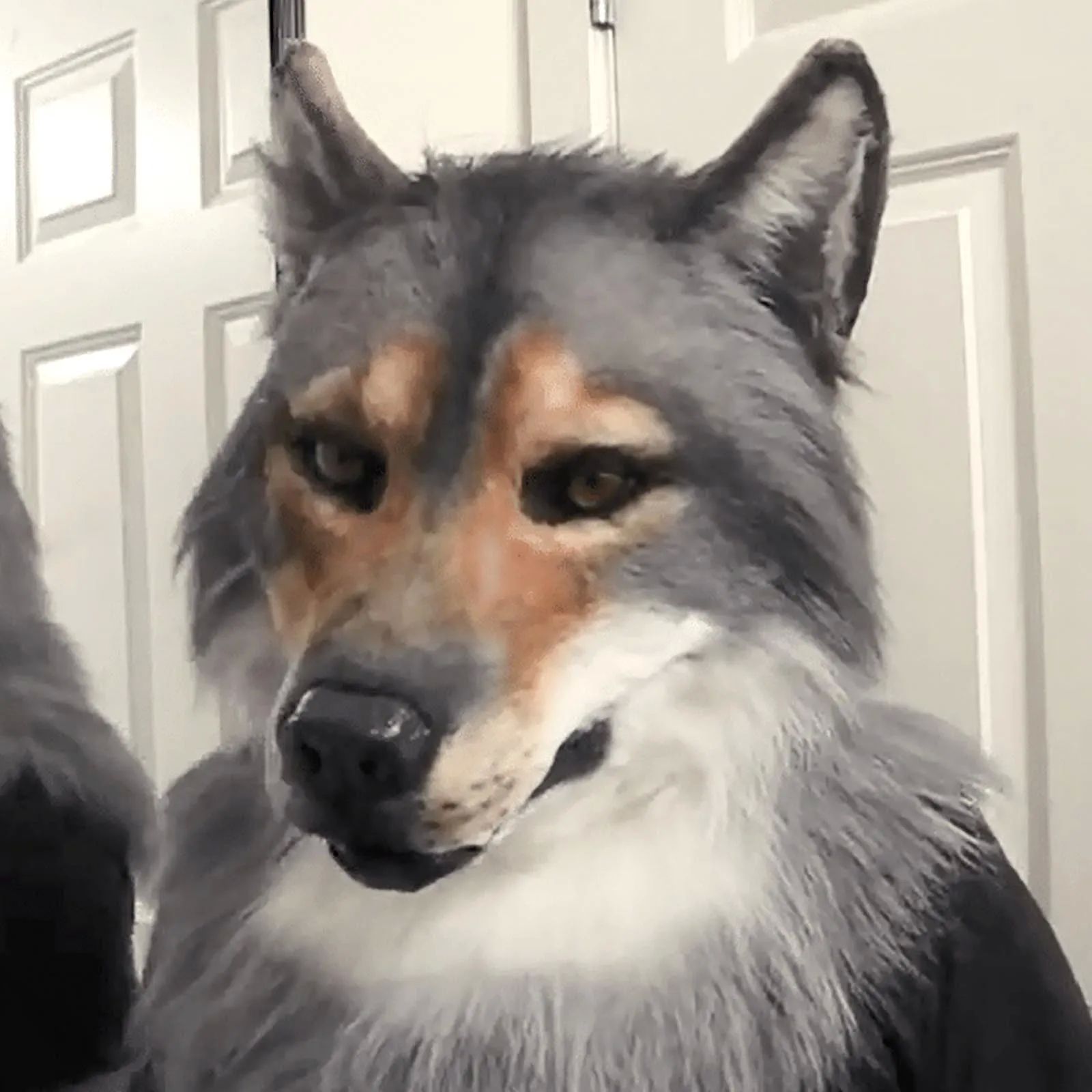 Halloween Animal Latex Simulation Wolf Head Mask Realistic F