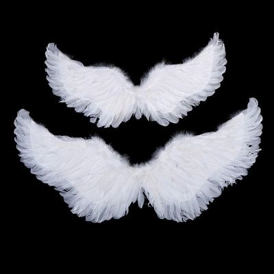 Kids Adult Party Swallow White Angel Feather Wings Wands Cos