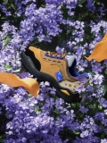 Stuckb Stuckb Starbi/Stray Club-Resscue Jiang GE/Outdoor Leisure Hydsess Shoes SC611-2