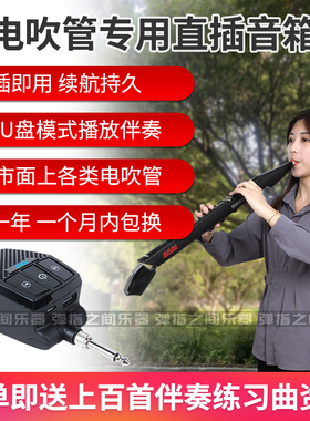 AKAI雅家电吹管5000 SOLO 罗兰AE10 适配直插式迷你音箱 便携音响