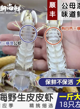 【保鲜不保活】舟山鲜活皮皮虾虾蛄濑尿虾野生富贵虾公母混发包邮