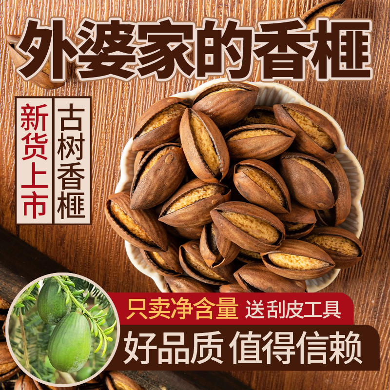 高山自然生长原生态古树香榧包邮