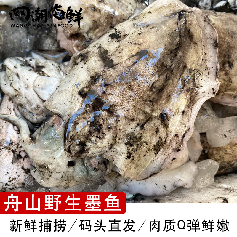 舟山海鲜深水流网捕墨鱼Q弹鲜嫩