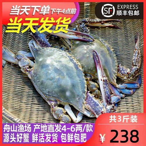 【保鲜不保活】网潮舟山月岙梭子蟹新鲜大公蟹秋白蟹4两上3斤包邮
