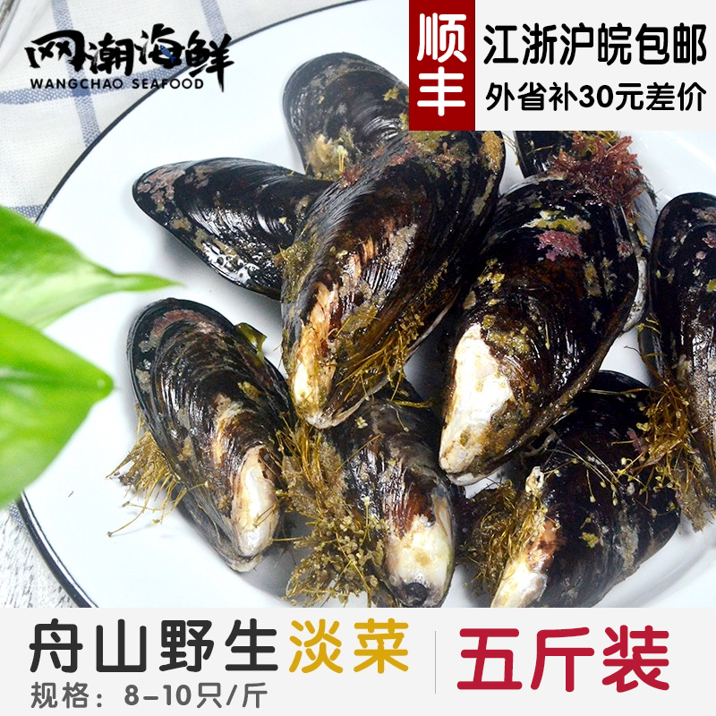 网潮海鲜 舟山 新鲜厚壳贻贝 青口贝 海虹 鲜活野生 大淡菜 5斤装