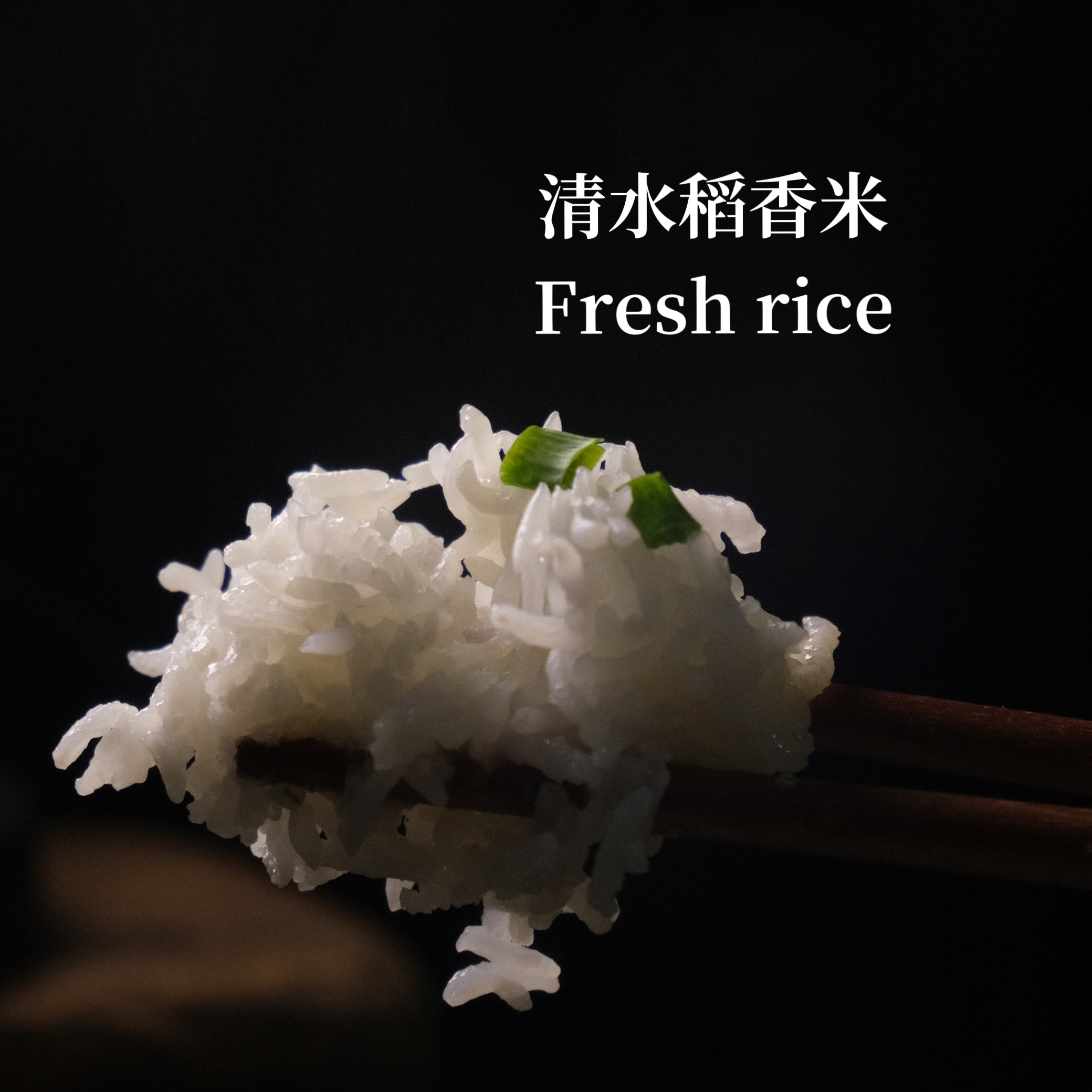 青禾粒清水稻香米5斤2025新米香软可口好消化