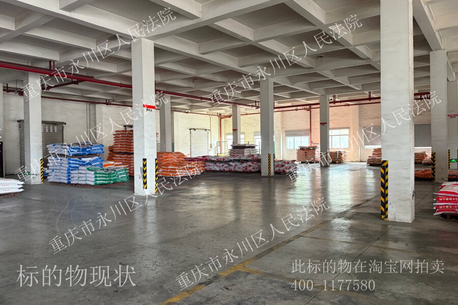 4月19日重庆永川区凤凰湖工业园内两宗工业用地使用权、地上构筑物及机器设备网络拍卖公告