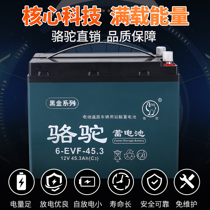 骆驼牌12伏干电瓶夜市摆摊照明20安52安大容量免维护全新铅酸电瓶