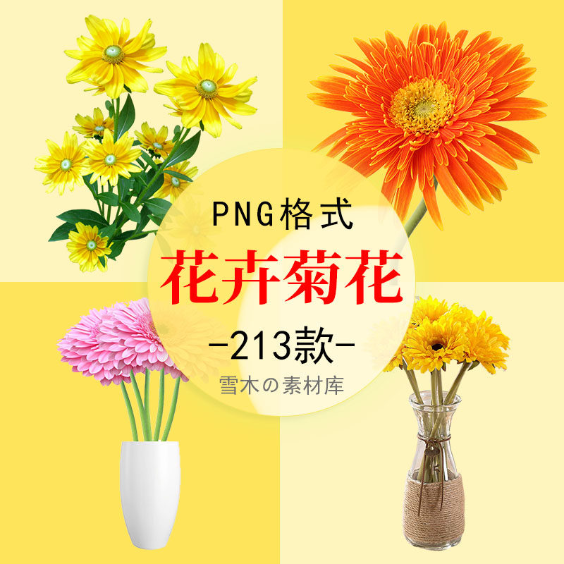 卡通菊花手绘野菊花非洲菊波斯菊花卉海报背景png免扣图设计素材
