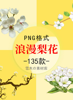 唯美手绘梨花浪漫白色黄色花朵装饰树枝中国风水彩PNG免扣图素材