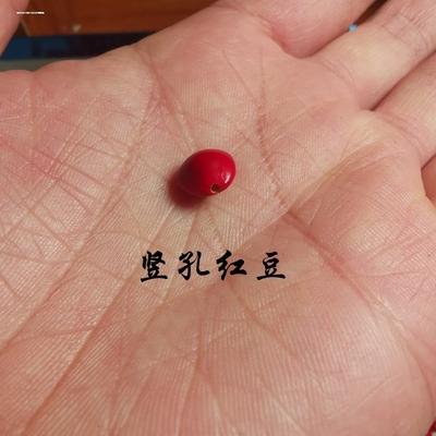 天然相思豆红豆菩提子海红豆手串手链散珠论斤红心菩提子