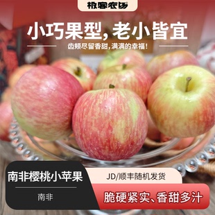南非樱桃小苹果丨小果型 脆度高 滋味足 鲜甜爽口 清润多汁