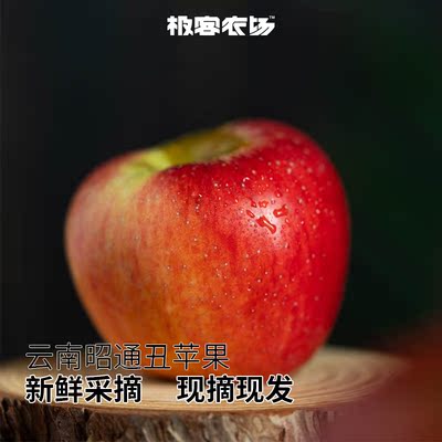 昭通红露苹果 | 皮厚削皮吃 长的丑 个头小 个别有糖心 甜脆可口