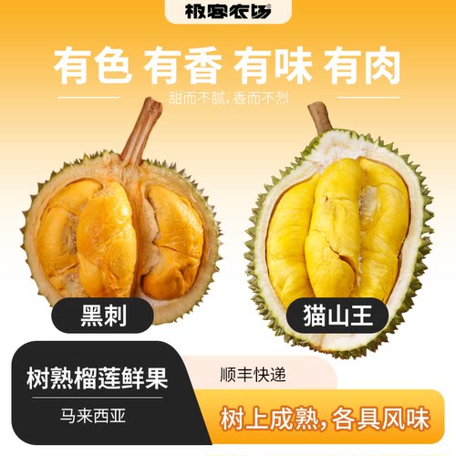 榴莲鲜果 | 马来西亚 猫核大苦麻回甘 黑刺醇厚浓郁绵密 顺丰