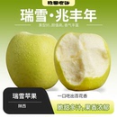 水果 瑞雪苹果 新鲜应季 新鲜脆甜多汁 顺丰快递 果香浓郁青苹果