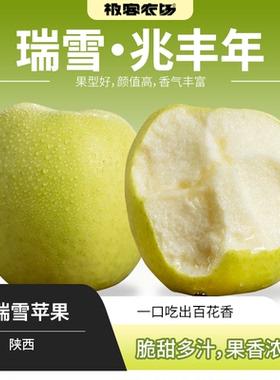 瑞雪苹果 | 果香浓郁青苹果 新鲜脆甜多汁 新鲜应季水果 顺丰快递
