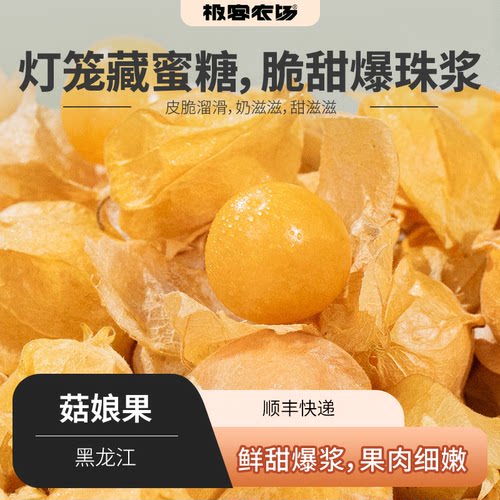 极客菇娘果 | 鲜甜爆浆 香气馥郁 皮脆溜滑 果肉细嫩 甜滋滋