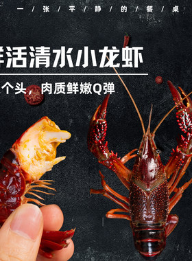 阳澄湖鲜活小龙虾 丨生长周期长个头大 ，肉质鲜嫩Q弹，30只/箱。