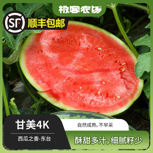 极客农场甘美4k西瓜脆甜多汁站神西瓜当季新鲜水果肉质紧实顺丰