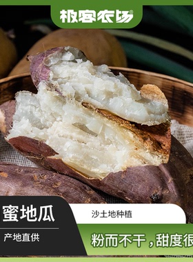 白蜜地瓜丨白玉地瓜 糯甜口感 甜度高 糯甜 红薯山芋番薯【京东】