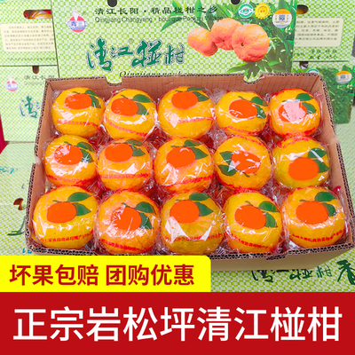 清江椪柑岩松坪长阳清江椪柑