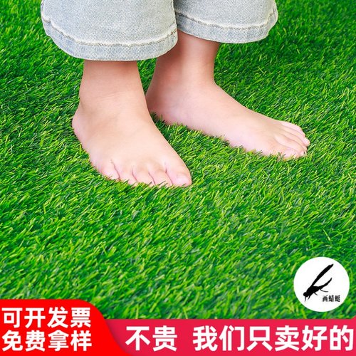 画蜻蜓仿真草坪价格实惠