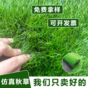 仿真地毯草坪秋草枯草楼顶隔热降噪人造假草皮露台庭院花园装饰