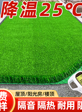 仿真草坪地毯阳光房玻璃屋顶专用装饰绿色塑料户外人工人造假草皮