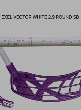 IFF认证旱地冰球杆 专业比赛软式曲棍球杆 训练杆 EXEL 冰球杆