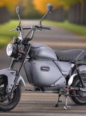 永久小钢炮M3狒狒电动摩托车72V大功率长续航双人复古电摩可上牌