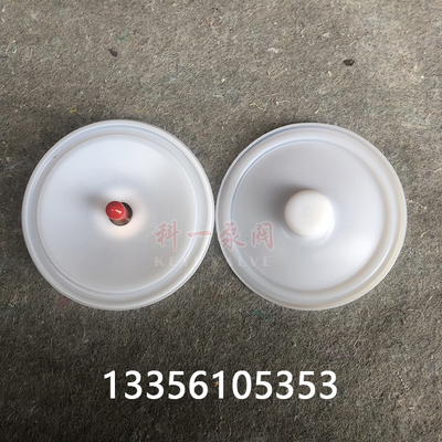 威尔顿特氟龙耐腐蚀气动隔膜泵