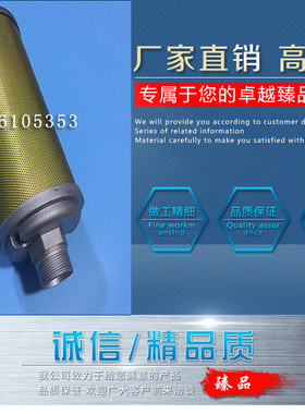 气动隔膜泵配件ARO英格索兰二寸三寸专用全金属消音器94810 67389