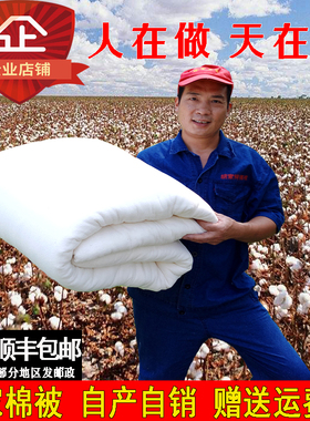 1.2米纯棉花被子棉絮1.5双单人床垫被褥子春秋被学生宿舍被芯棉胎