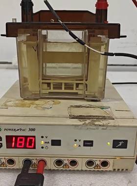 询价购-Bio-Rad伯乐PowerPac 300电泳电源