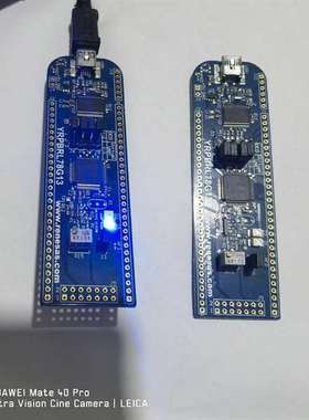 询价购-瑞萨开发板RL78/G13，功能正常，裸板，