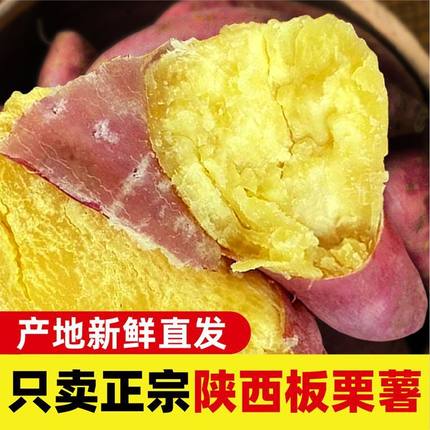 2025年新鲜现挖正宗陕西临潼板栗薯农家沙地黄心红薯糖心白心地瓜