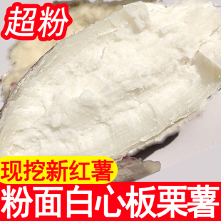 26年现挖新鲜河南爆皮番薯红皮白心红薯干面甜老品种白瓤板栗地瓜