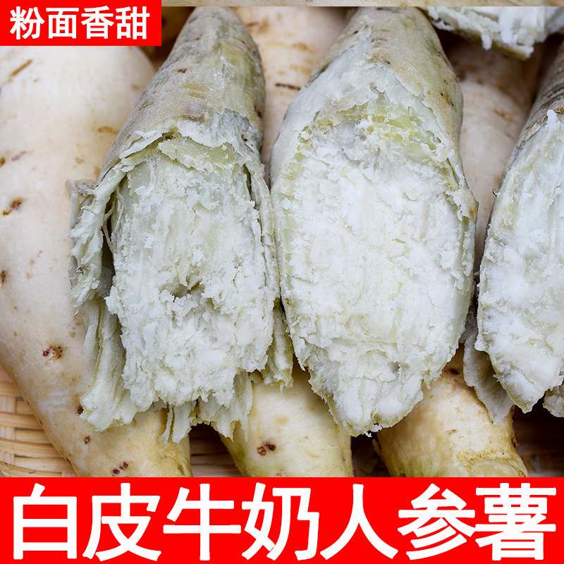 牛奶人参薯白皮白肉新鲜红薯香甜白心板栗薯现挖地瓜山芋超粉番薯