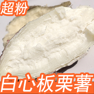 2026年现挖红皮白心红薯农家新鲜板栗薯老品种白瓤番薯5白心地瓜