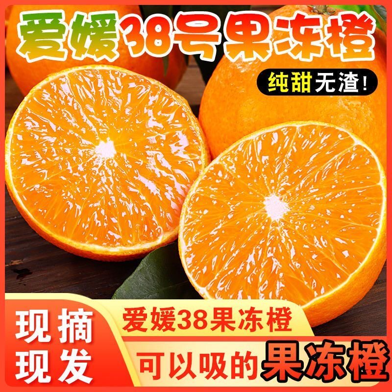 四川爱媛38号果冻橙5斤