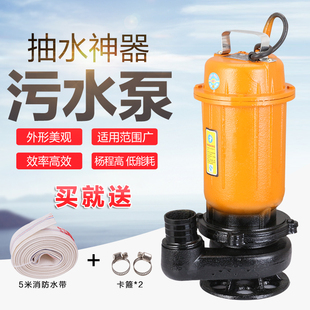 铸铁排污泵220v家用抽粪泵污水泵抽化粪池沼气池潜水泵泥浆380v