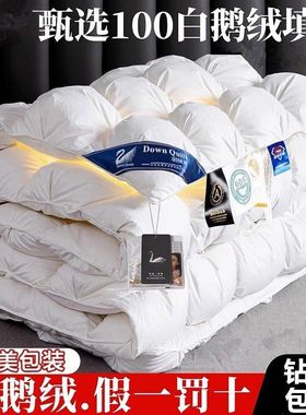 down comforter 95 white goose thick quilt hotel跨境鹅绒被冬