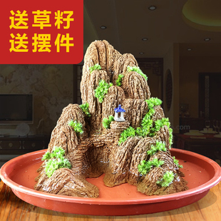 望岳假山盆景吸水造景奇石上水摆件石鱼缸原室内观赏石植物小石头