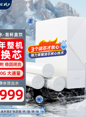 净水器母婴直饮大流量家用净水机