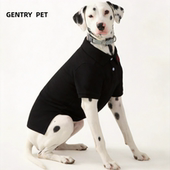 短袖 GENTRYPET2025新款 泰迪博美宠物服装 夏季 英伦狗狗衣服POLO衫